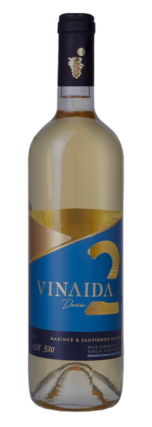 VINAIDA 2 Derin (2022)