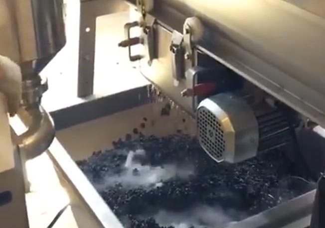 Pinot Noir Fransız Meşesinde Yolculuğuna Başlıyor
