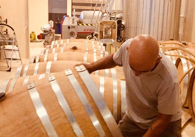 Pinot Noir 2018 Hazırlıkları Başlıyor