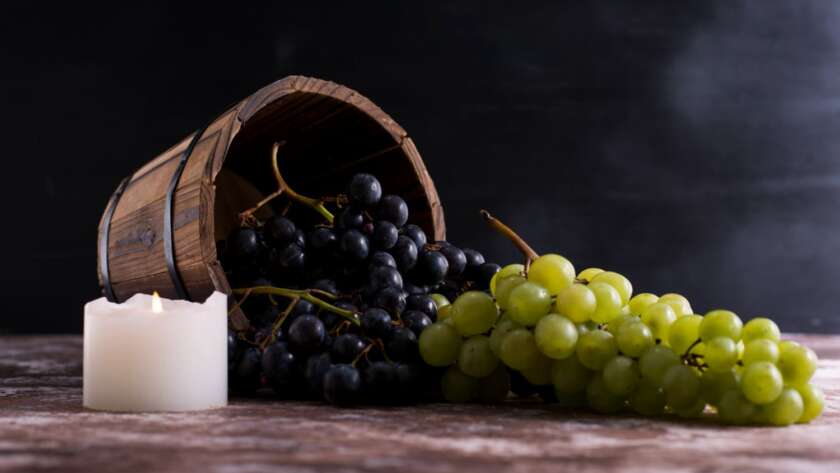 şaraplık üzüm