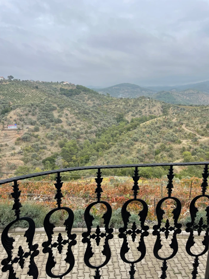 Narince Sezer Türsen Odası görsel 4